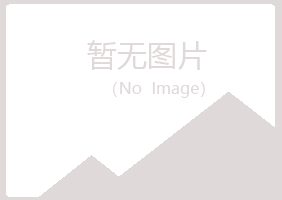 江城区沛文建设有限公司